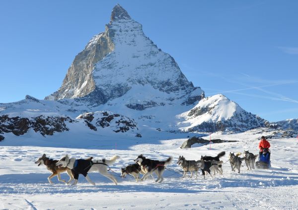 Schlittenfahrt mit Huskys in der Zermatter Bergwelt