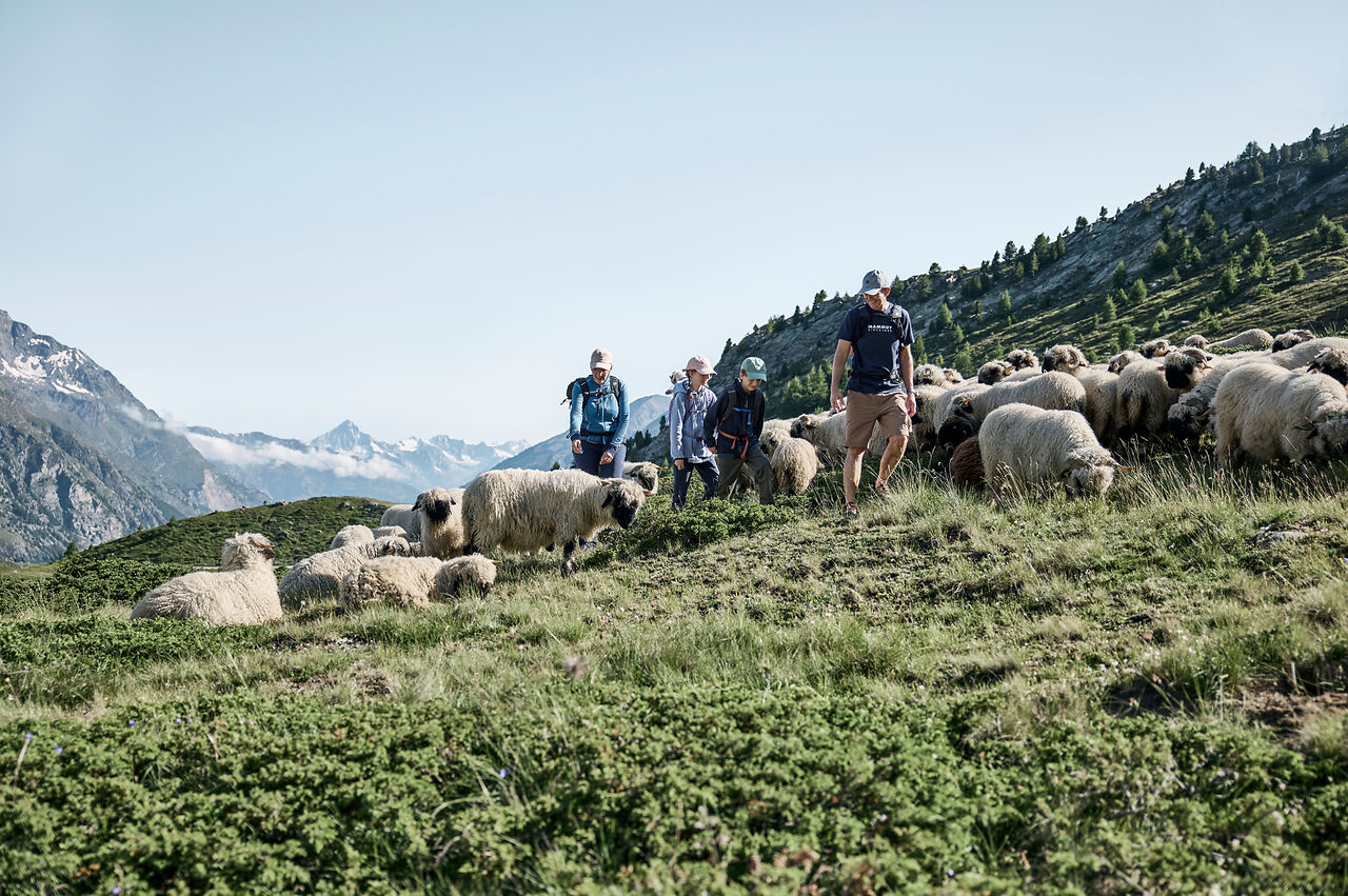 Familienwanderung in den Bergen oberhalb von Zermatt